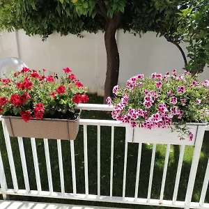  Casa vacanze Beach The House With Green Lawns Italia